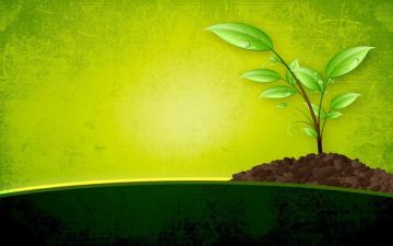 مسؤوليتنا في بناء الحياة